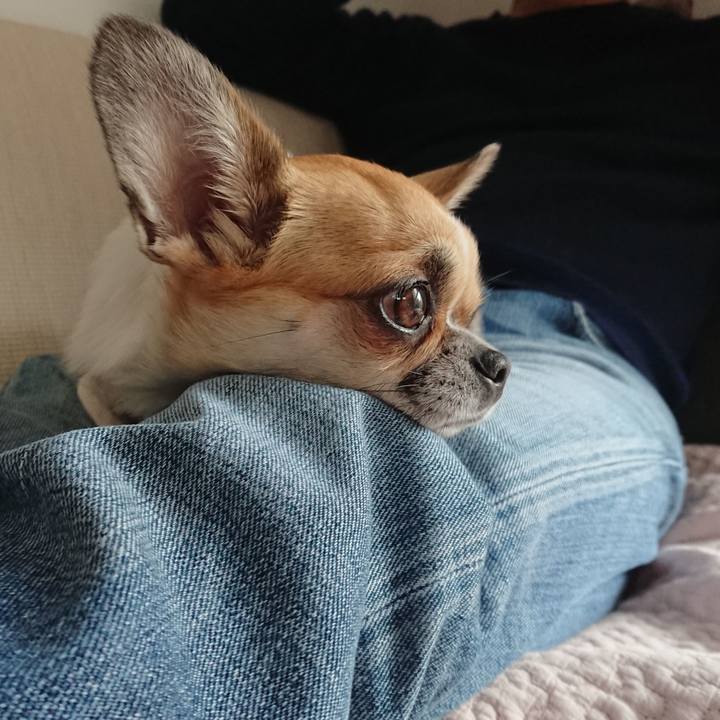 41d28365 e950 4577 a21c cc59ac395aef 1574585659518