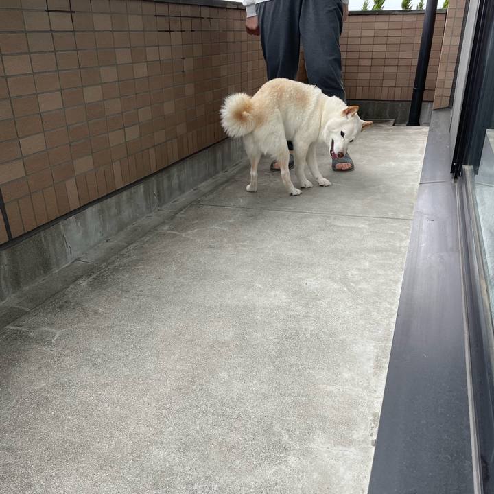 41d28c06 910b 4f26 95fe c53e20081f29 1652082952004