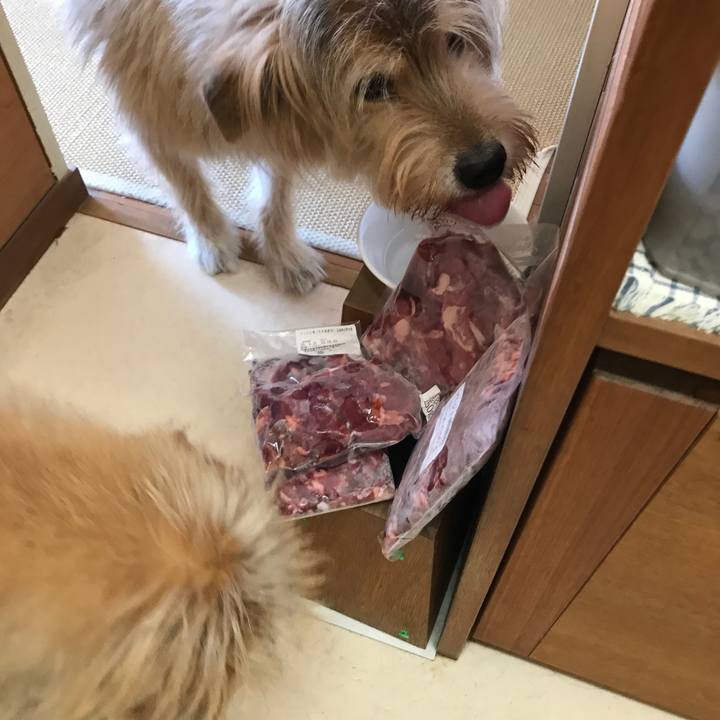 41d2b24b 80a5 44a2 878b d4641e03dc7d 1573095873706