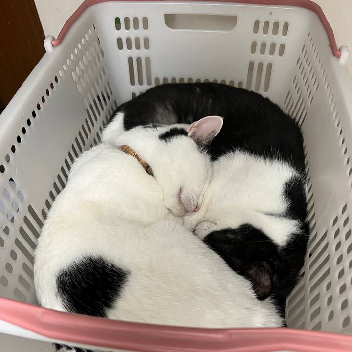 41d2bd54 2daf 4e92 b1fd 7a3ee7c75089 1694791724776