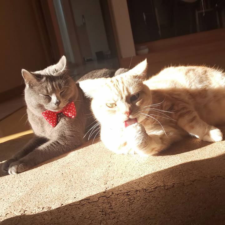 41d2f150 d09b 48bd 9707 687be42295e0 1546838431352