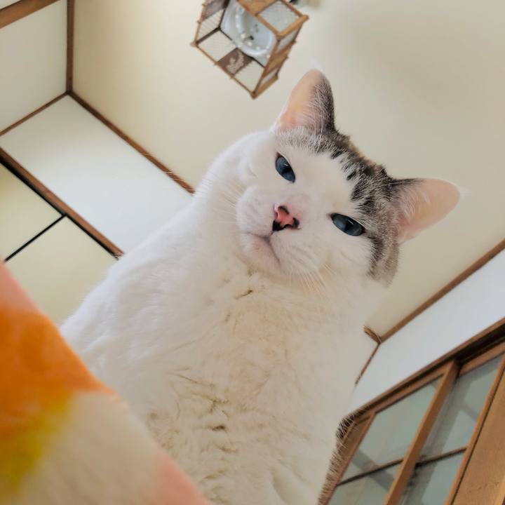 41d300fe f234 41cc bbc0 0acdbadcf3db 1674690882313