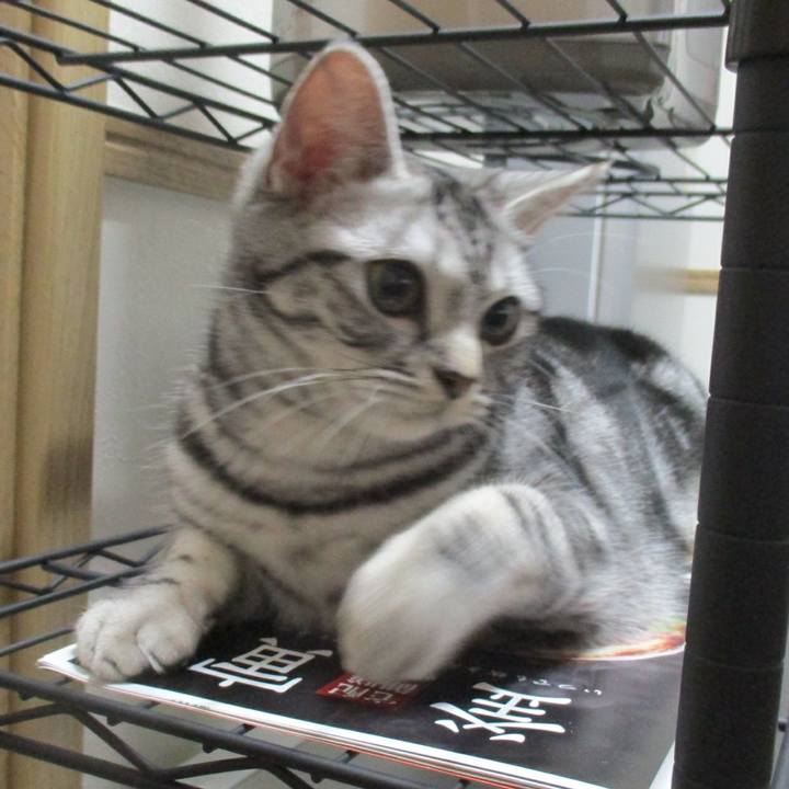 41d32c02 47b4 467c aeea 042ab840e6ca 1549848378888