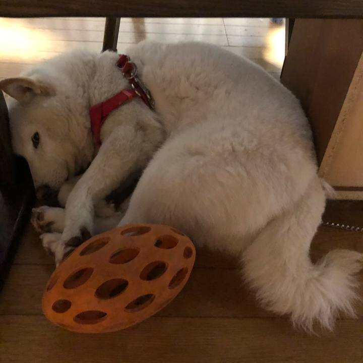 41d3303a 89e3 4681 9cab 697e3d4d27e7 1587039143212