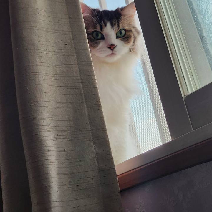 41d338bf 547d 467d ba8f 5ca5c64b0ed9 1755730910302