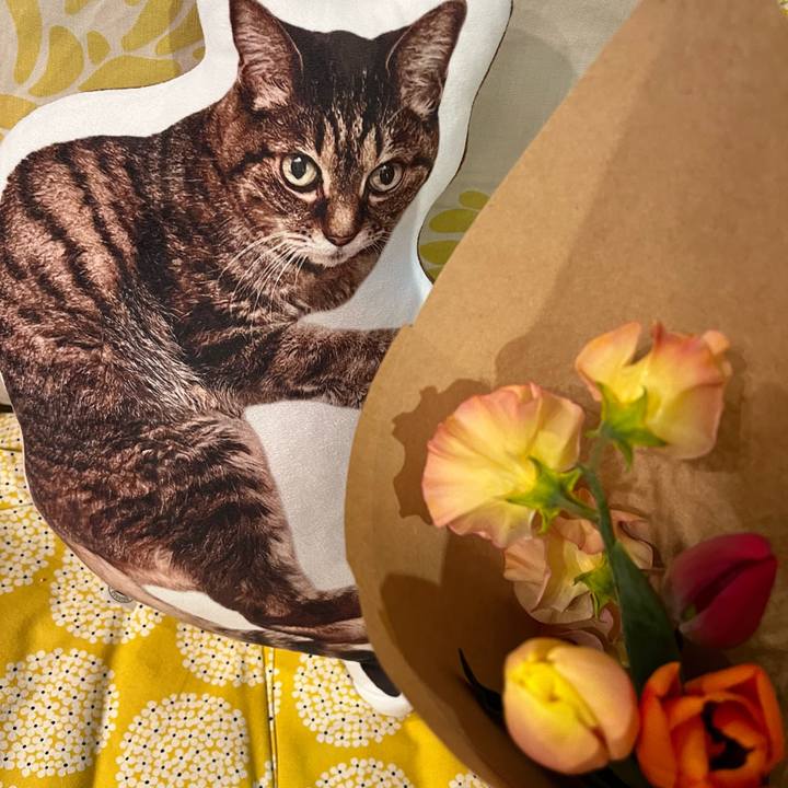 41d35485 18d3 4c86 b184 6a539b0d7884 1769776958536