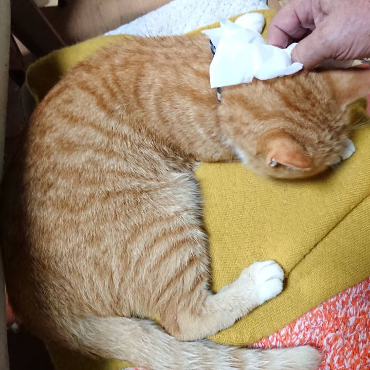 41d35f9f b4ca 41fd bca3 729e206b834a 1570183623936