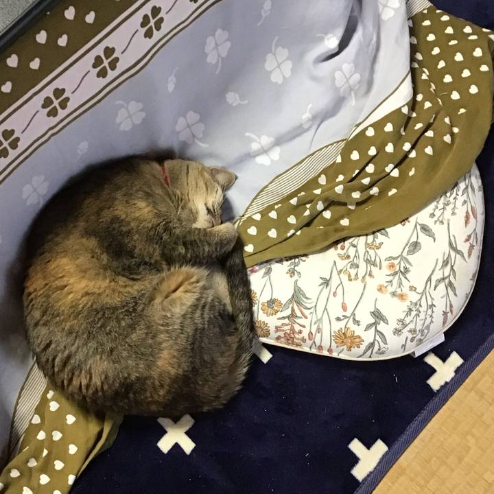 41d42ba0 3018 4e24 ad98 7143941f89bc 1709367499571