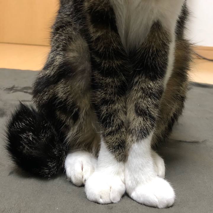 41d435b1 1d66 45d7 b47e b1a22eab8316 1515154451653