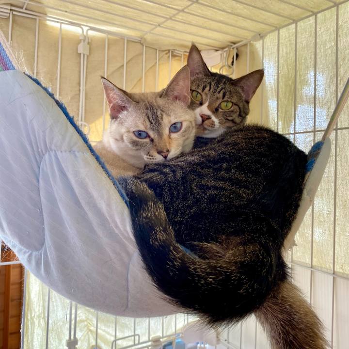 41d43c95 838b 4db0 bfc5 f09a0c2f82be 1752374931127