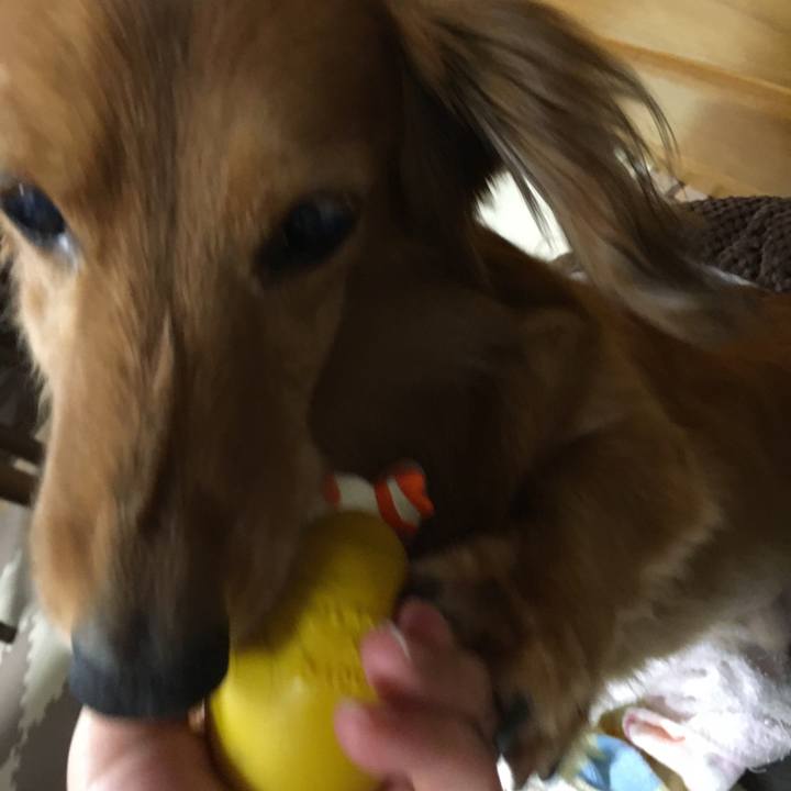 41d47d2f 68d8 4fd0 857b 1ca55b465216 1524916321684