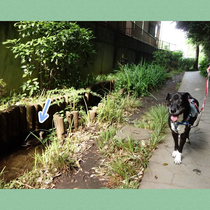 41d4861e 0903 4af4 bf3f 30bf04113e7f 1749431208136