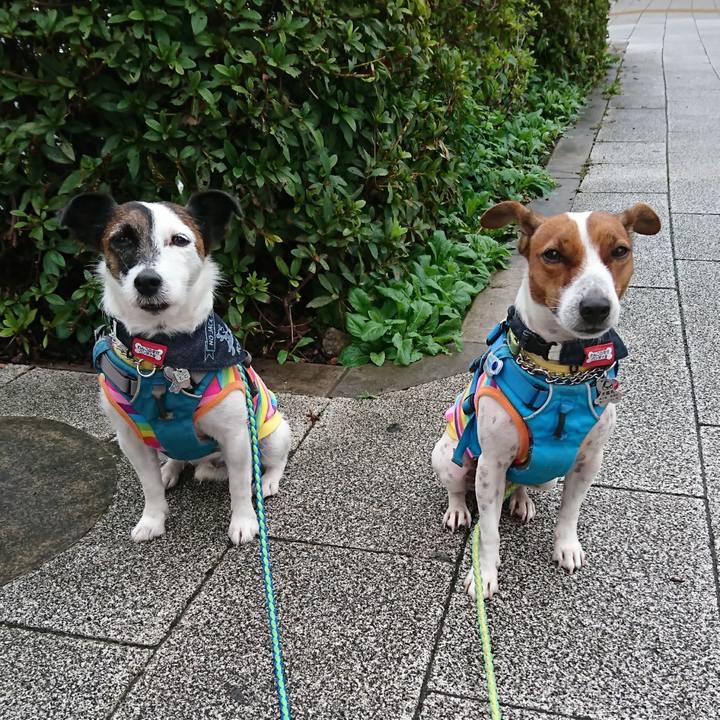 41d4f058 8a12 4dee bff7 d23b0f86d4ce 1602368490903