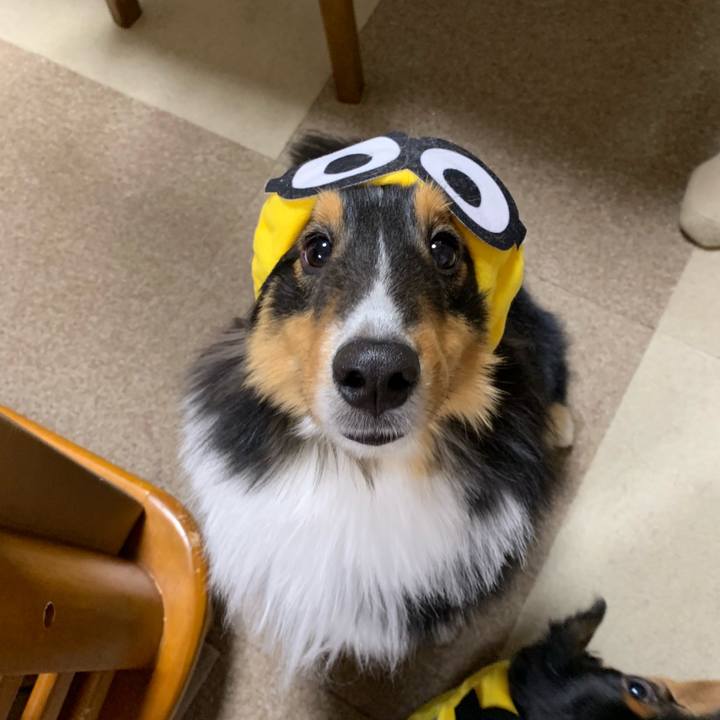 41d50c07 dfcb 451f bba4 d4e1f6b9b448 1546123257339