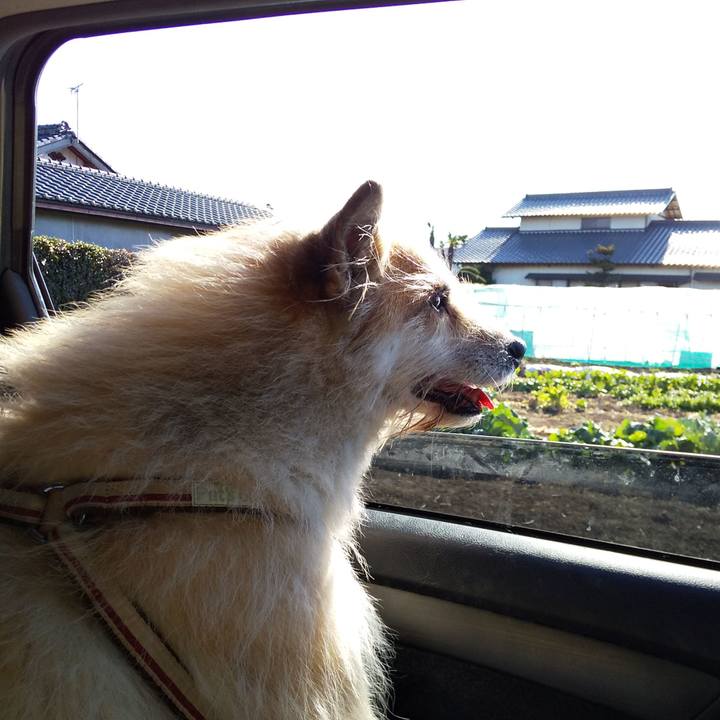 41d52b19 2ec0 4127 86af f807e302380e 1577852115894