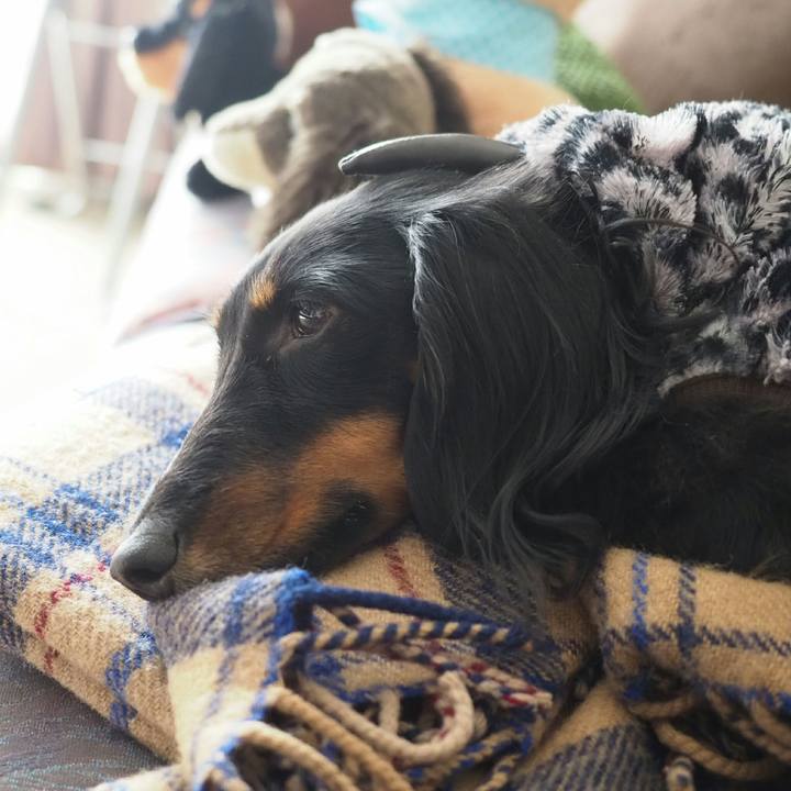 41d5431e 3bdc 48c2 84fb 908ce73262dc 1548045087181