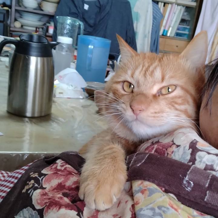 41d560d6 e290 4ad6 a5c7 e0ba890d7964 1671173903644