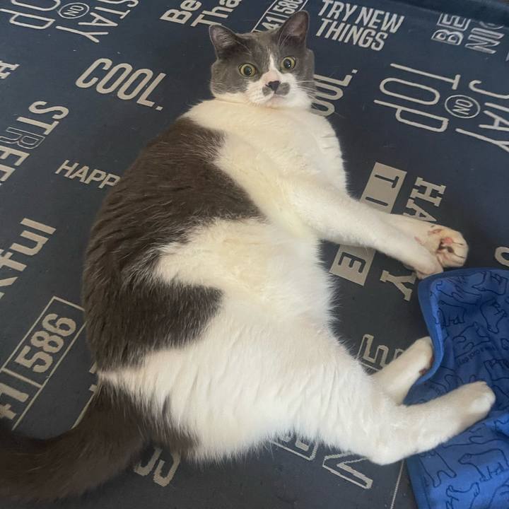 41d58f84 dce5 4af0 91f0 ab3f6695bd08 1721688726252