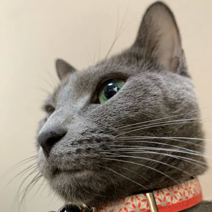 41d5a3d0 9089 46c9 bed4 a0b6554b524b 1608610884517