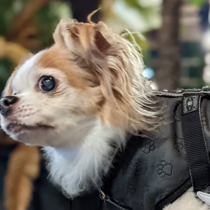 41d5bc11 6a0b 4f12 8b1f c955b775a7b3 1658672471269