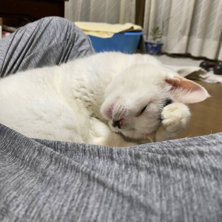 41d5d456 5dc9 4406 84d0 030c287d1094 1665668776659