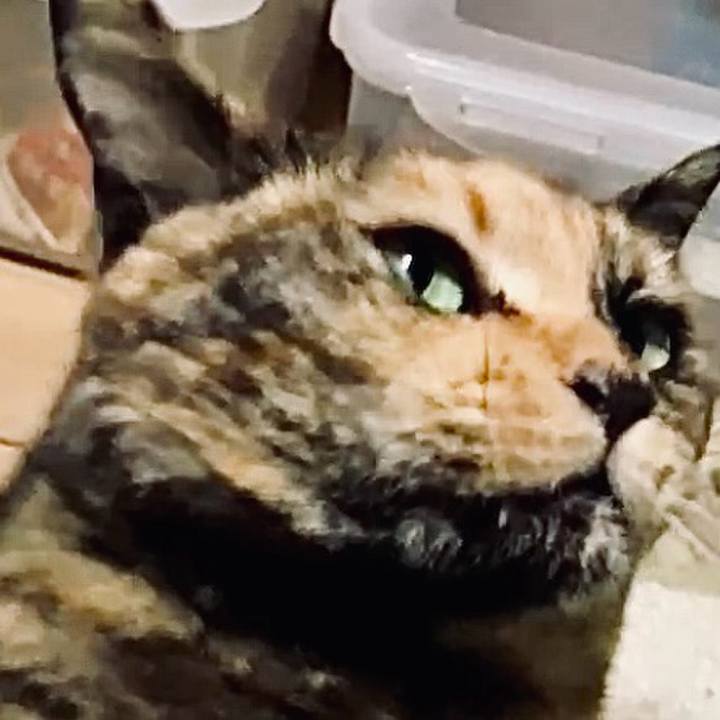 41d5d757 4d9d 48cc b1fe 111e2a71ec54 1743970846479