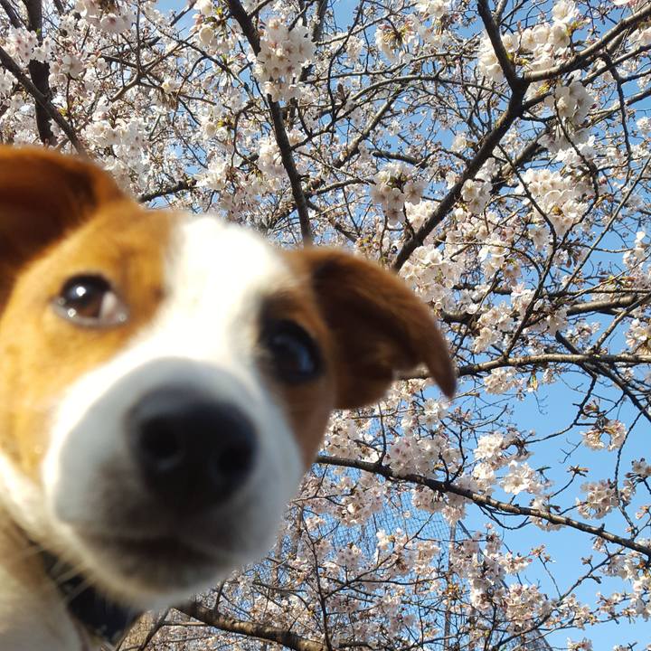 41d5f4ba defa 4b2b ac3c 8629f2fc1e37 1554027061715