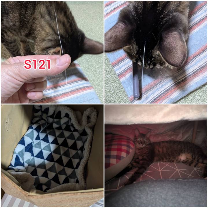 41d5f852 d84a 4400 bff2 11e63ad1de65 1730519566976