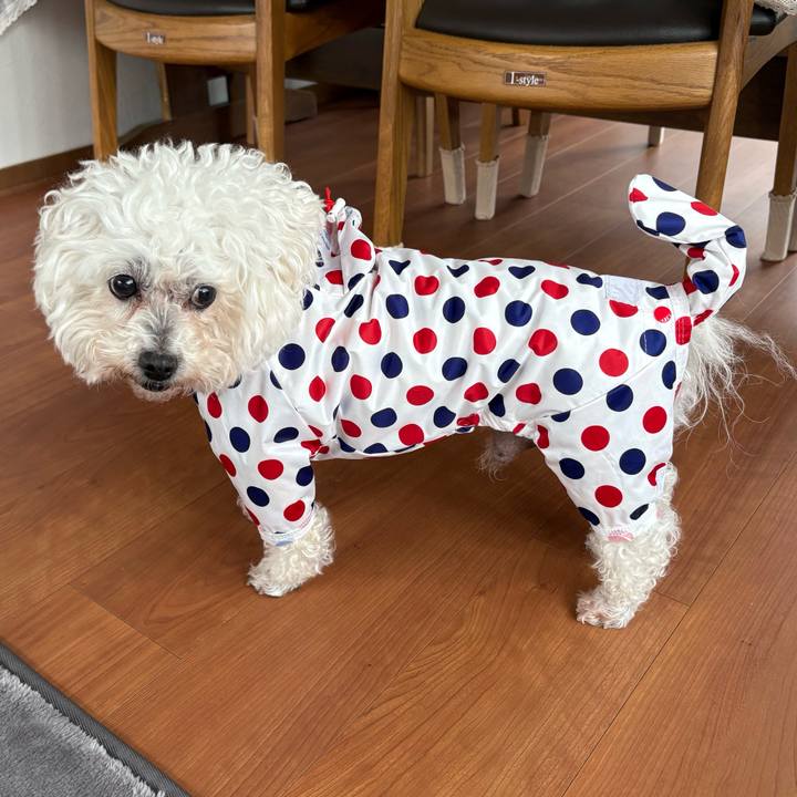 41d61e6b 6071 4aa1 944f a39994bac466 1740692783220