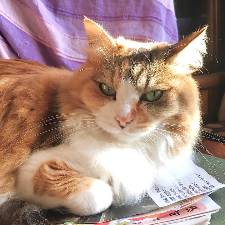 41d621e6 ebd5 43bb 99e4 eb7db36c3e87 1610440630416