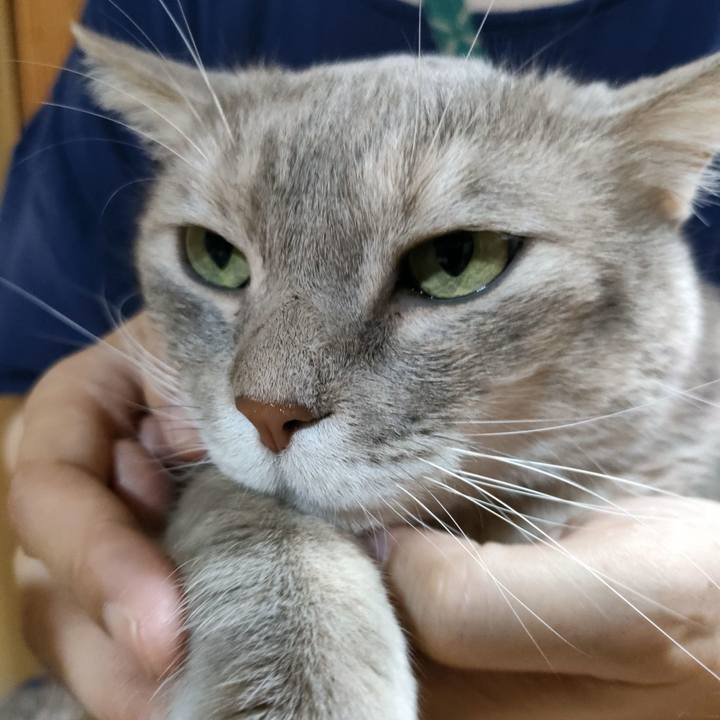 41d652f4 baf8 45c6 b0e4 6883a5c87b01 1692854656713