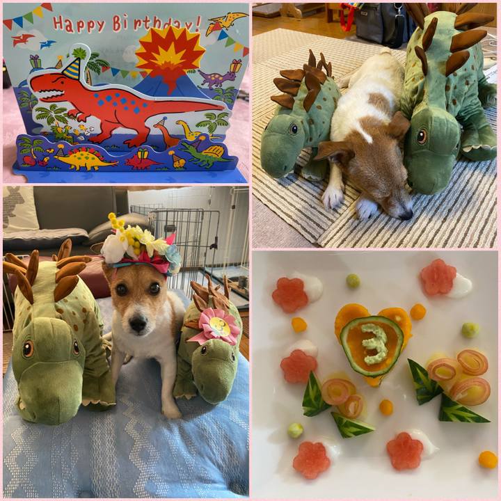 41d6a08b d31c 447c a285 f197dc9ee6f7 1631507581767