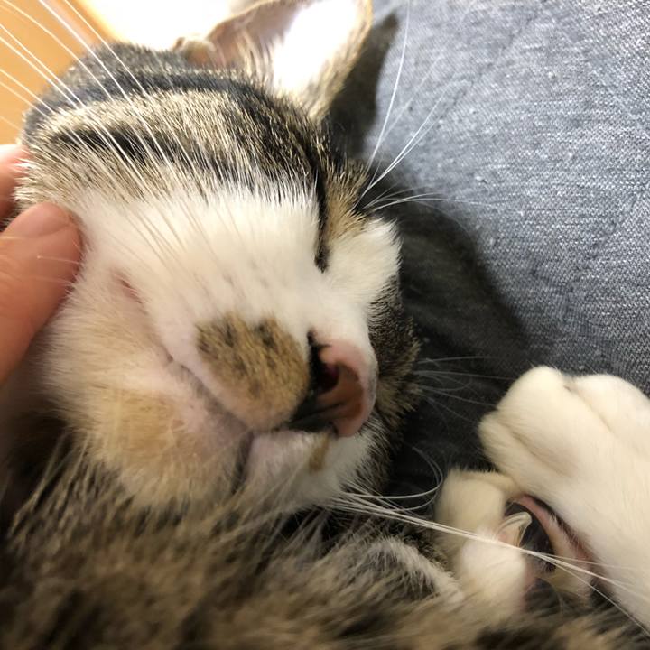 41d6f21f 5c2a 4dc3 8715 bbc36cea30a6 1515958929110