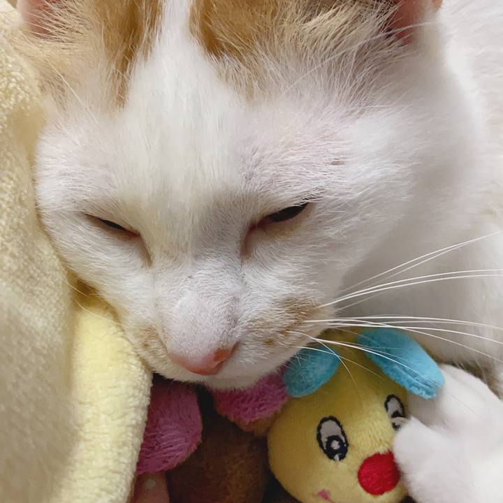 41d7031e 6445 474d ac31 242f91ee4ae1 1586944573631