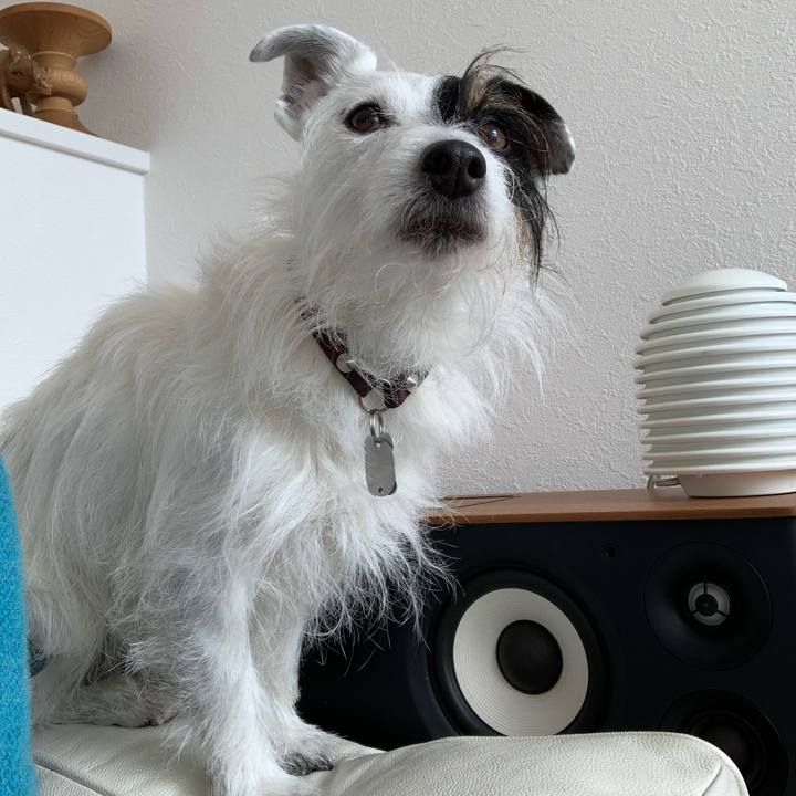 41d70850 fd43 4f06 89f9 a7a32de75829 1646187242113