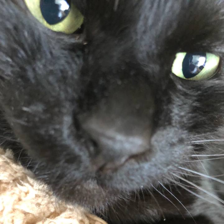 41d709a6 9bf7 4405 958a ca3684c907a9 1586573948554