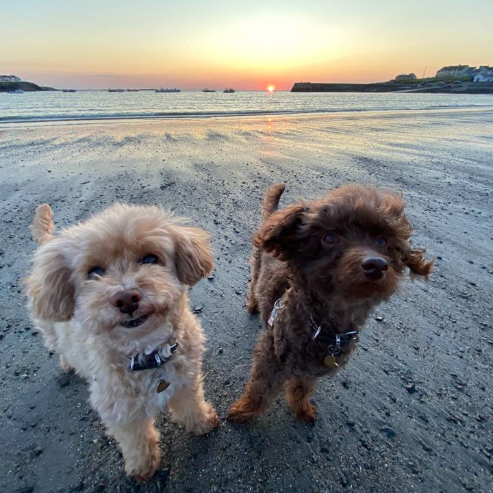 41d728f8 5fb9 4c3f a30f 6c995500f078 1685997543050