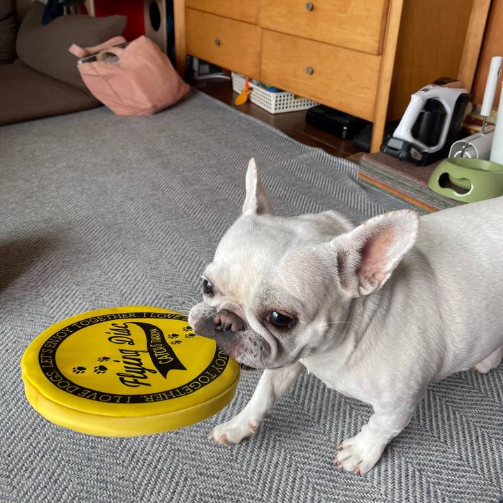 41d733a1 bbe2 4f88 8371 9afa213e9086 1725529501018