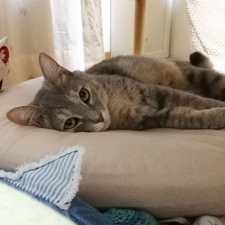 41d73742 1093 444f b0ed bde028436b36 1537711583266