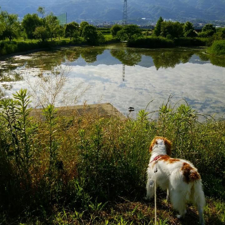 41d7702e cdd2 47e5 8453 21a4178c95fa 1559518013874