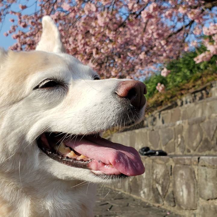 41d7a44f 11db 4548 af8d 1f5561f5ced7 1613956635111