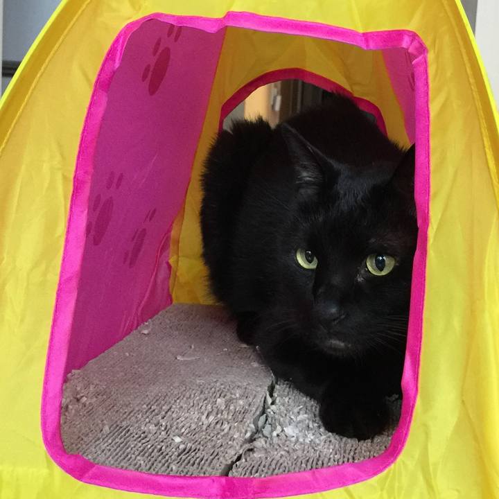 41d7b3ef 18ec 4069 9716 eb22b8a0f1af 1589092170321