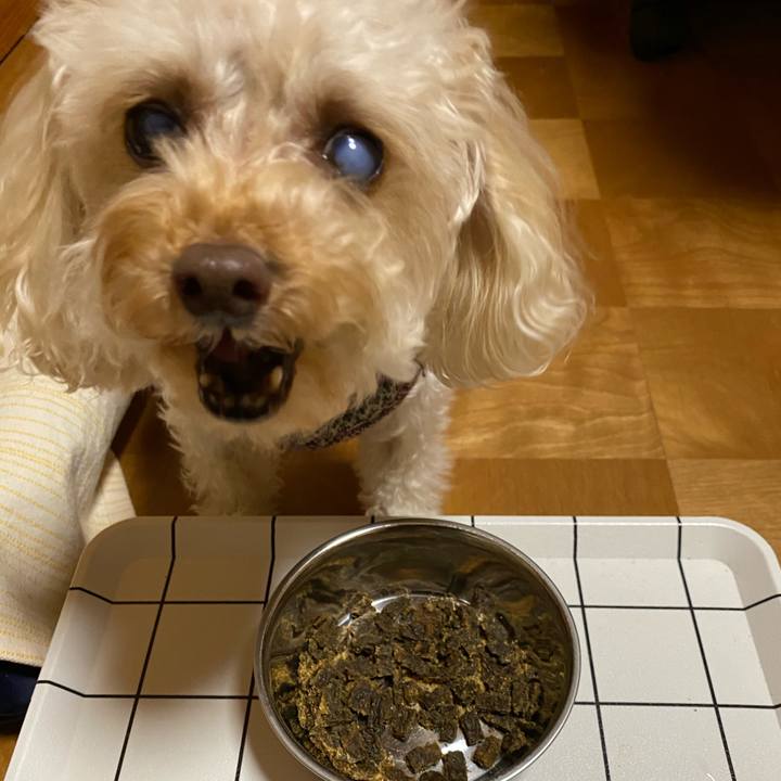 41d7e096 7d2b 482a b121 99d65fc129f3 1610959722806