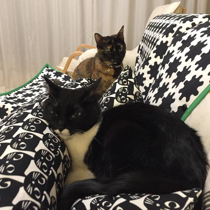 41d842c2 5962 4f56 bbc6 6a80bf43d814 1518182297588