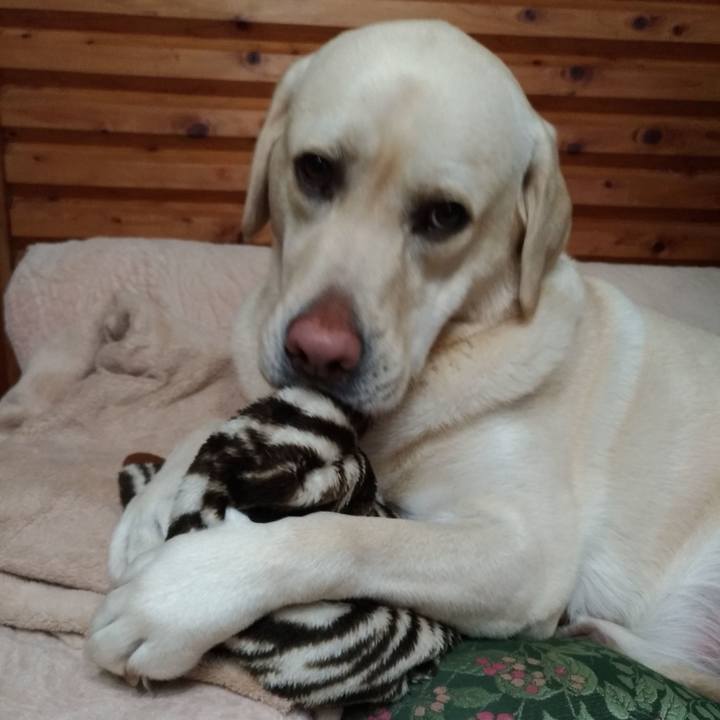 41d84d8f 02b6 4a3f 94c4 9cb690c6f33b 1575607988841