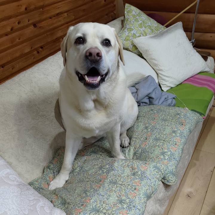 41d89812 4ae2 4c8d b282 ca03d5fbc65a 1684888032340