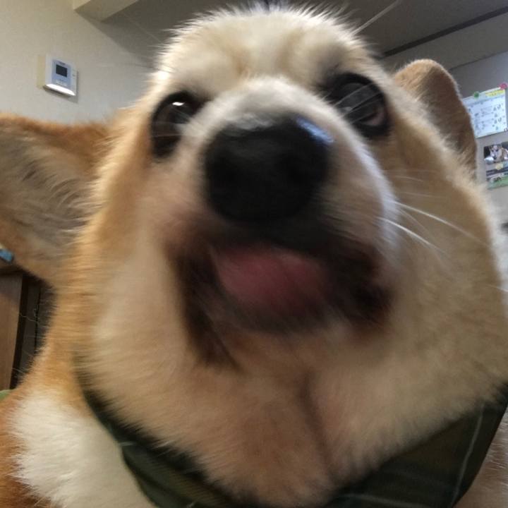 41d89864 973f 42a7 9e75 e6c1c4767356 1568296487448