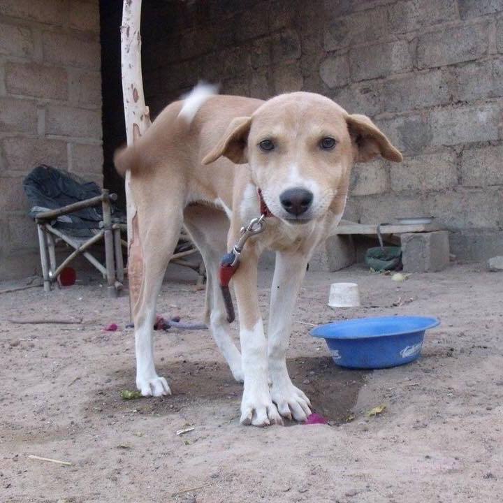 41d8ab99 8903 4987 9f51 44cea3c3ca5d 1531743941129