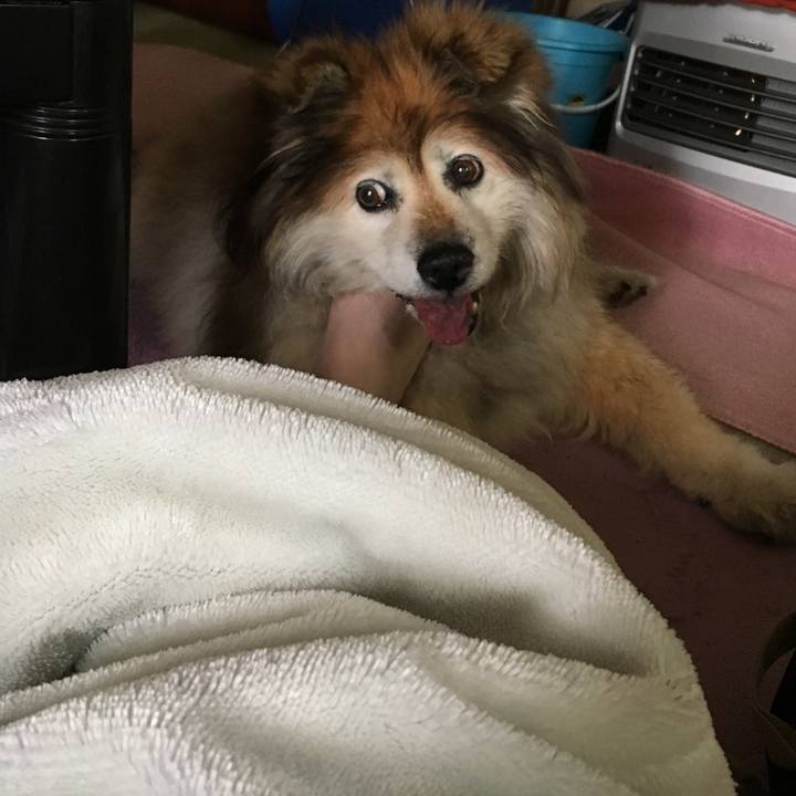 41d8ad51 4a8f 44b8 821f 8aef4d87dff4 1574442407005