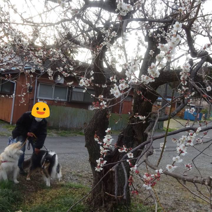 41d8b38d 06e7 4972 af03 4157df695d26 1615031961531